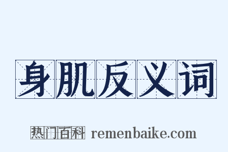 身肌反义词是什么意思的图片